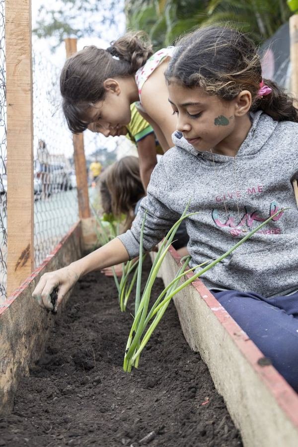 Menina plantando uma muda num canteiro de madeira, com as mãos na terra.