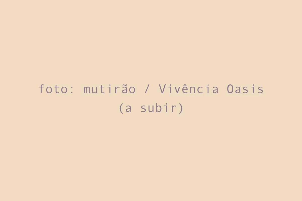 foto: mutirão / Vivência Oasis (a subir)