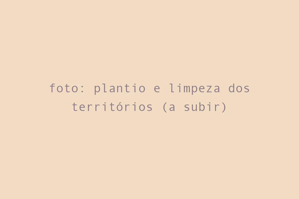 foto: plantio e limpeza dos territórios (a subir)